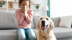 How to Treat Seasonal Allergies in Union City | Union City Heating and HVAC Services